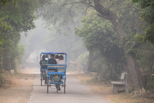 Rickshaws in Bharatpur Bird Sanctuary