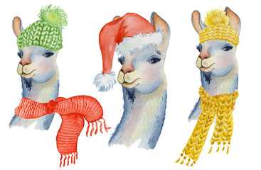 Christmas lama illustration with Santa hat and scarf Winter watercolor animals Cute kids illustration perfect for greeting or post cards, prints on t-shirts, phone cases © EvgeniiasArt