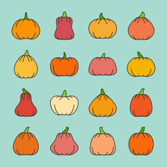 Different shapes pumpkin harvest line icon set