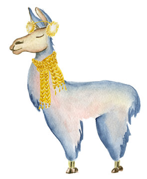 Christmas lama illustration with Santa hat and scarf Winter watercolor animals Cute kids illustration perfect for greeting or post cards, prints on t-shirts, phone cases