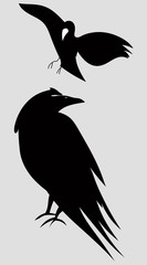 silhouette of birds, vector graphic icon