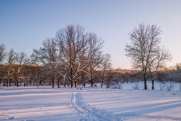 Beautiful winter sunset landscape