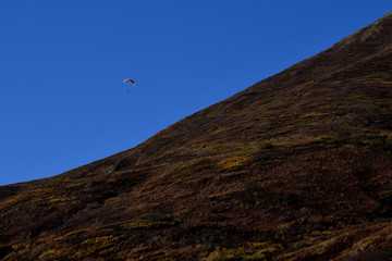 Fototapeta na wymiar Paragliding in Bright Blue Sky