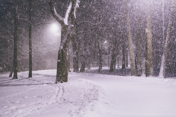 Winter park at night. Snow in a frozen dark park with snowflakes. Snowfall at night. Snow storm