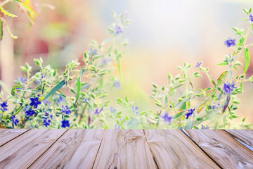 soft focus violete flower wild background with wood table for design