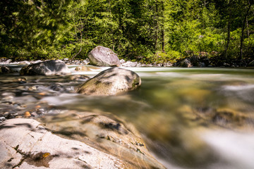 Fototapeta na wymiar creek in the forest with long exposure