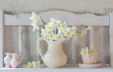 daffodils in jug on white background