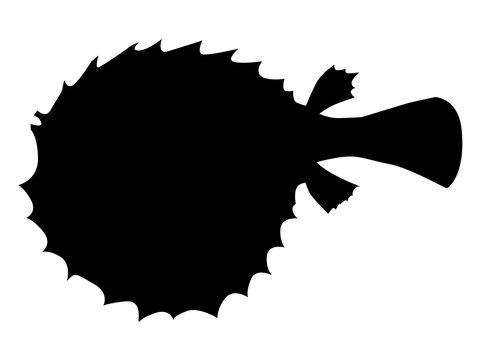 silhouette of fish-hedgehog