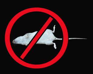 Dead rat in red prohibitory sign. Suitable as an emblem for poisons for rodents