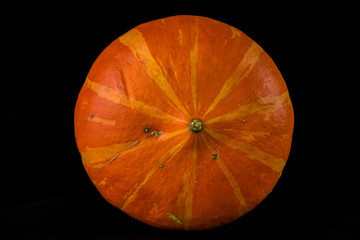 Beautiful ripe pumpkin