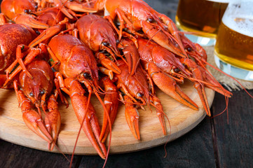 A pile of large crawfish on a wooden tray, glasses with beer on a dark wooden background.