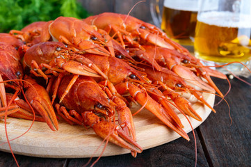 A pile of large crawfish on a wooden tray, glasses with beer on a dark wooden background.