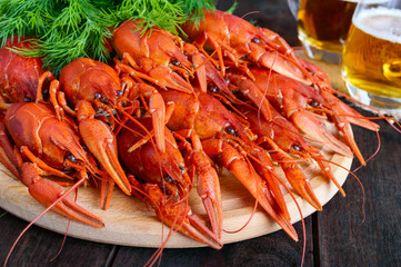A pile of large crawfish on a wooden tray, glasses with beer on a dark wooden background.