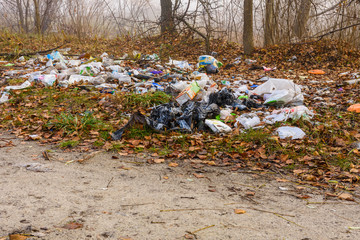 Different garbage on a ground in forest