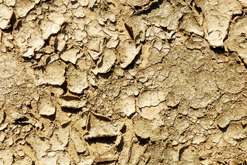 texture of the crackled clay in the desert.