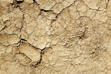 texture of the crackled clay in the desert.