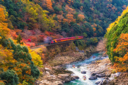 beautiful mountain view in autumn season with sagano scenic railway or romantic train on bridge and boat in the river in Arashiyama, Kyoyo, Japan, sotf focus