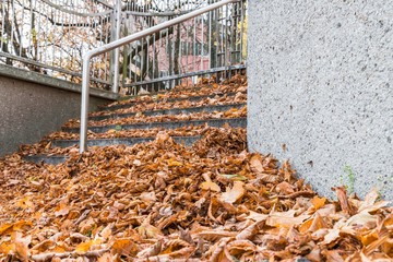Mit Laub bedeckte Stein Treppe im Herbst