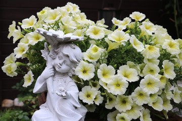 Petunia in Gelb und Blumenkind