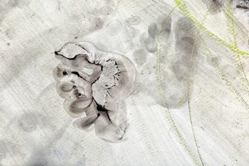 footprint