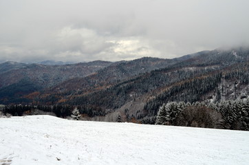 Fototapeta na wymiar Winterlandschaft im Schwarzwald