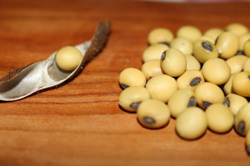 autumn harvest soy