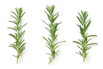 Tableaux ronds sur plexiglas Aromatique Rosemary Isolated on White Background