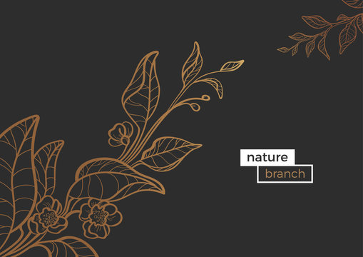 Vector template of golden art line branches. Nature vintage illustration