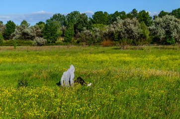 Young man sitting on a meadow