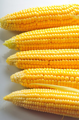 Mature corn on a white background