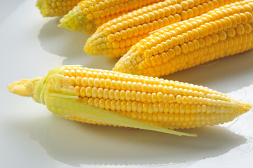 Mature corn on a white background