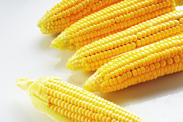Mature corn on a white background