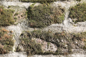 Granite rock closeup background, stone texture, cracked surface