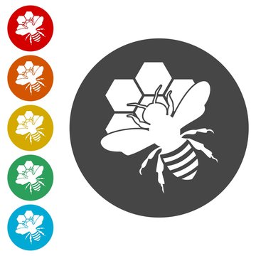Bee and of honeycomb, Bee Silhouette icon 