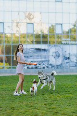 Young girl throwing orange flying disk to small funny dog, which playing with husky on green grass. Little Jack Russel Terrier and Eskimo dog pet playing outdoors in park. Dog and owner on open air.