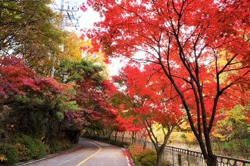 秋の冠岳山自然公園・遊歩道