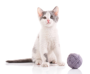 A kitten on a white background. The cat is playing with the ball