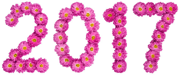Numeral 2017 from flower of chrysanthemum, isolated on white background