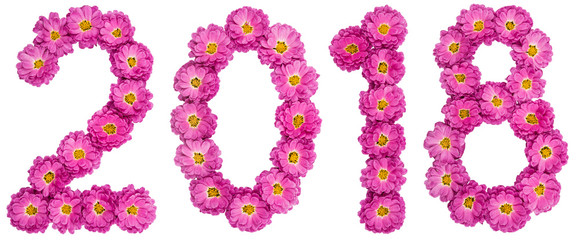 Numeral 2018 from flower of chrysanthemum, isolated on white background