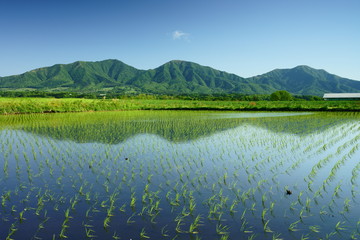 初夏の逆さ蒜山