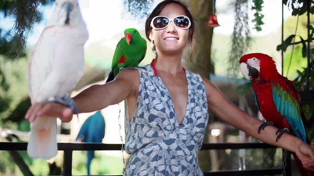Happy woman wearing sunglasses holds parrots blue-gold Macaw parrot white parrot macaw in Koh Samui Paradise park. 1920x1080