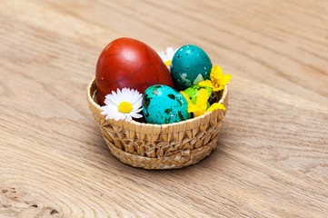 Fototapeta na wymiar Panier d'oeufs de cailles colorées pour les fêtes de Pâques.