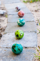 Coloured Easter eggs