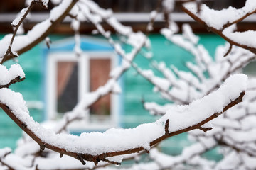 Tree branches with snow and window in winter countryside