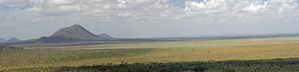 Równina. Panorama © michalsen