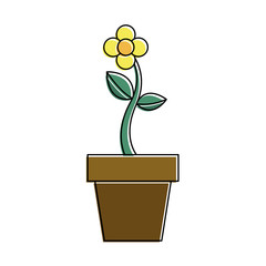 potted flower natural plant decoration vector illustration
