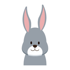 Fototapeta na wymiar Cute bunny head cartoon icon vector illustration graphic design