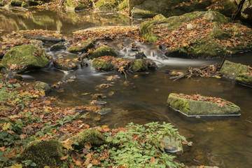 Autumn river czech