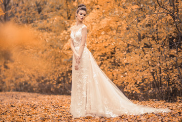 beautiful sensual young brunette bride in long white wedding dress and veil standing in forest