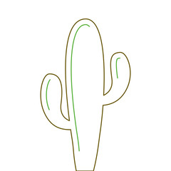 cactus plant desert succulent botanical vector illustration green line